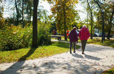 A walk in a city park among nature, green lawns, and trees in a beautiful golden autumn.