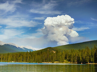 Big explosion with white smoke. Wild fire in national park, Alberta. Canada