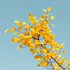 Obraz premium Unleash creativity with our captivating leaf artworks! From minimalist to fantastical styles each high-resolution piece adds a fresh touch to any project