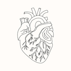 heart outline hand drawing coloring page vector