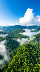 Fototapeta premium Explore the success of reforestation efforts from a drone's perspective