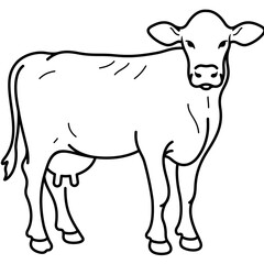 Dairy or milk cow. Vector outline icon.