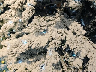 Snowy tree for decoration 