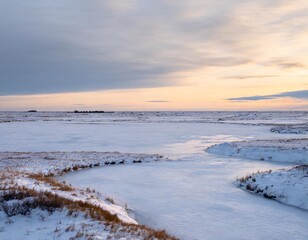 Snowy Tundra Landscape Stretching Across a Flat Horizon, With Patches of Icy Blue Water and Frozen Marshlands, All Under a Pale Winter Sky