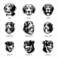 head of dog beagle bearded colli and beauceron