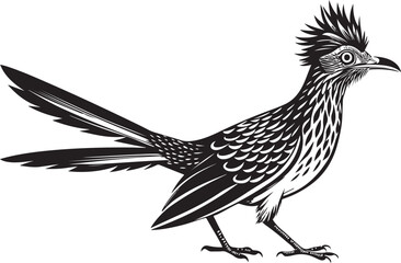 Fototapeta premium roadrunner bird vector illustration, printable design