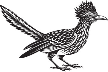 Obraz premium roadrunner bird vector illustration, printable design