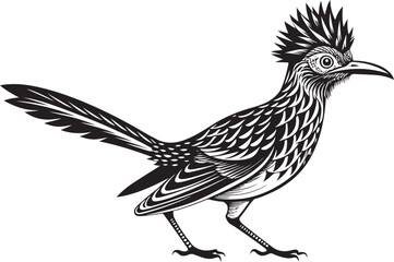 Naklejka premium roadrunner bird vector illustration, printable design