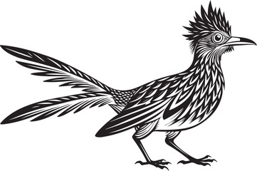 Obraz premium roadrunner bird vector illustration, printable design