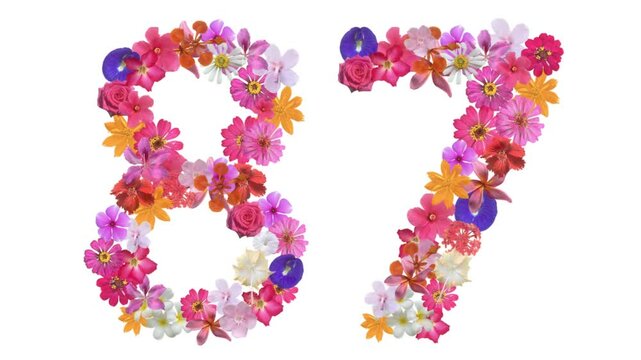 87, Video of numbers formed from growing flowers, suitable for birthday, anniversary and commemoration templates.