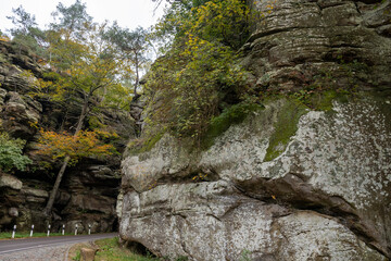 Scenic diversity of Mullerthal, Luxembourg's Little Switzerland, hiking routes, rock formations, moss-covered forests, tourist destination in Europe