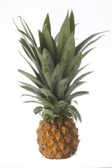 Fototapeta premium Ananas victoria - Mini fruit - La Réunion