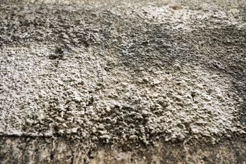 Rough Texture of an Old Wall