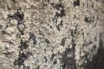 Rough Texture of an Old Wall
