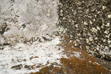 Rough Texture of an Old Wall