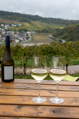 Glasses of white dry riesling wine made on Moselle river valley in Germany or Luxembourg, view on terraced vineyards