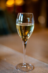 Tasting sparkling white wine, traditional champagne method making of cremant in caves on Moselle river valley in Luxembourg, glass of wine