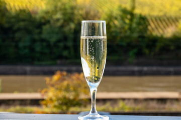 Tasting sparkling white wine, traditional champagne method making of cremant in caves on Moselle river valley in Luxembourg, glasses of wine and view on terraced vineyards