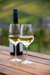Glasses of white dry riesling wine made on Moselle river valley in Germany or Luxembourg, view on terraced vineyards