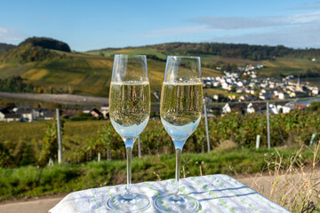 Tasting sparkling white wine, traditional champagne method making of cremant in caves on Moselle river valley in Luxembourg, glasses of wine and view on terraced vineyards