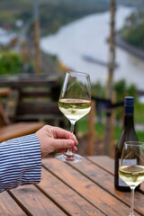 Glasses of white dry riesling wine made on Moselle river valley in Germany or Luxembourg, view on terraced vineyards