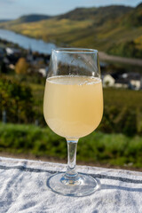Autumn wine festival in Germany on Moselle river valley, tasting of federweisser young wine, neuer wein fermented freshly pessed auxerrois grape juice, or must. View on terraced vineyards.