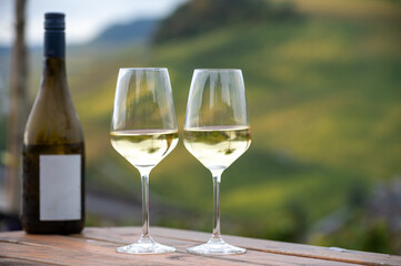 Glasses of white dry riesling wine made on Moselle river valley in Germany or Luxembourg, view on terraced vineyards