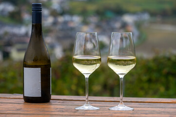 Glasses of white dry riesling wine made on Moselle river valley in Germany or Luxembourg, view on terraced vineyards