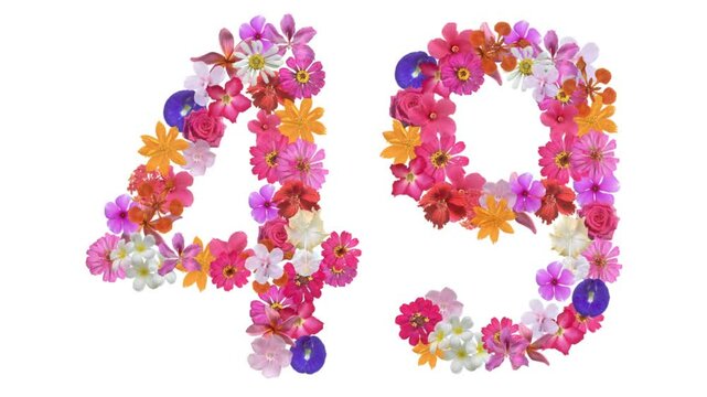 49, Video of numbers formed from growing flowers, suitable for birthday, anniversary and commemoration templates.