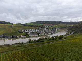 Obraz premium Aerial view of terraced vineyards around Nittel, Rhineland-Palatinate, Germany and views across Moselle River on vineyard hills of Machtum, Luxembourg