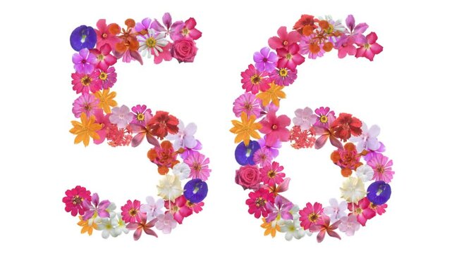 56, Video of numbers formed from growing flowers, suitable for birthday, anniversary and commemoration templates.