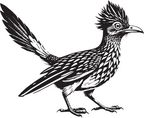 Naklejka premium black roadrunner bird vector illustration printable