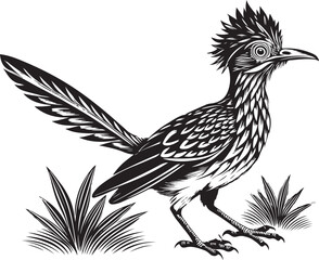 Fototapeta premium black roadrunner bird vector illustration printable