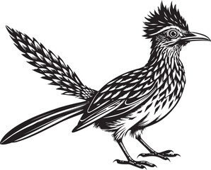 Obraz premium black roadrunner bird vector illustration printable