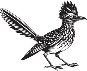 Obraz premium black roadrunner bird vector illustration printable