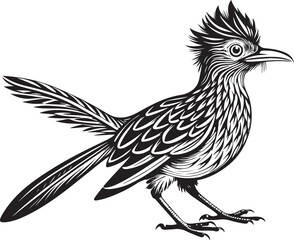 Obraz premium black roadrunner bird vector illustration printable