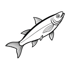 herring fish design, labeled line art vector silhouette illustration.