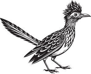 Fototapeta premium black roadrunner bird vector illustration printable