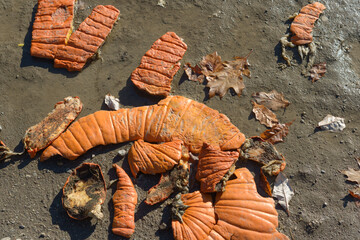 halloween left-overs or a decaying orange pumpkin in pieces on the ground