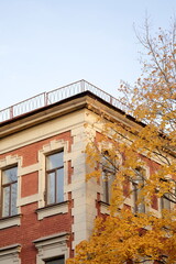 facade of historic building is tree with autumn yellow leaves. brick house of historical architecture in autumn season. urban landscape. tourist destinations, famous place in business part metropolis.