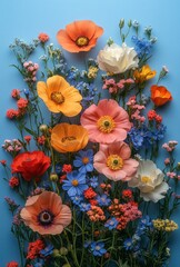 Obraz premium Vibrant poppy and wildflower arrangement on blue background.