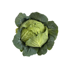 Obraz premium A variety of cabbages, including green, purple, and Napa. 