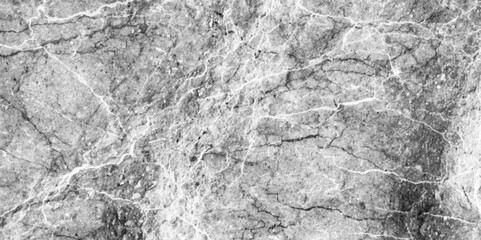 White marble texture Vector background. Vector paper texture background or cardboard surface from a paper box for packing. watercolor picture painting illustration background. vector illustration.