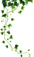 modern 2D doodle cartoon flower concept with open space for text, featuring whimsical floral and leafy elements on crisp white backgrounds.