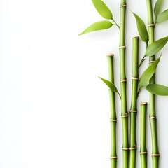 modern 2D doodle cartoon flower concept with open space for text, featuring whimsical floral and leafy elements on crisp white backgrounds.