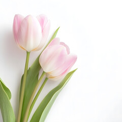 modern 2D doodle cartoon flower concept with open space for text, featuring whimsical floral and leafy elements on crisp white backgrounds.