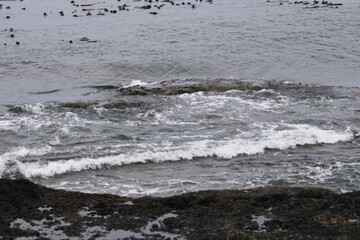 waves on the beach