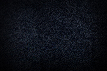 dark texture of black shiny skin