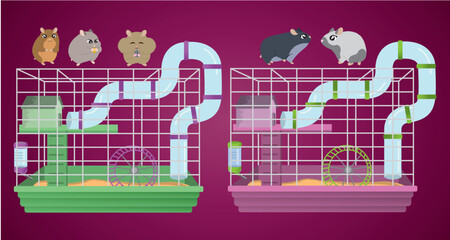 set of hamsters with their cage, vector illustration, cute and tender hamsters, caticarura
