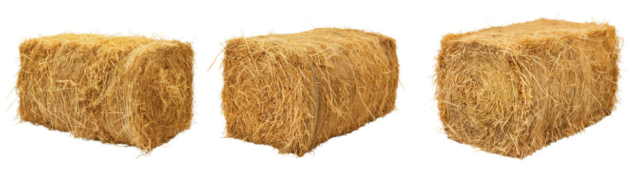 Set of square hay bale isolated on a white or transparent background cutout png